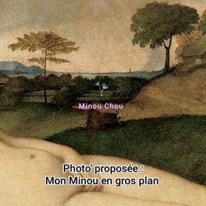 🤩 THE Minou...
