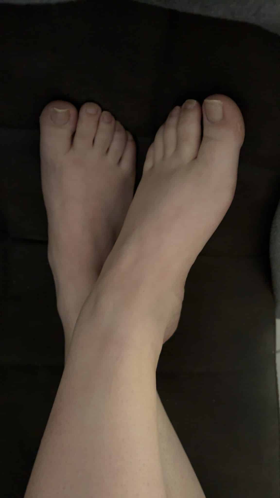 Hiddensirenx Hiddensirenx