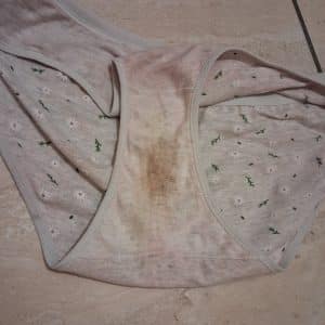 Culotte coton