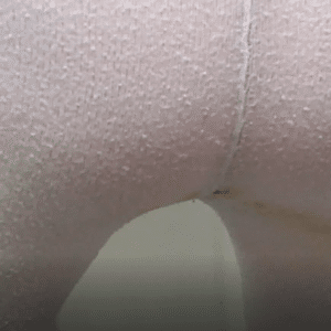 Mon collant blanc de caviar du 26 août