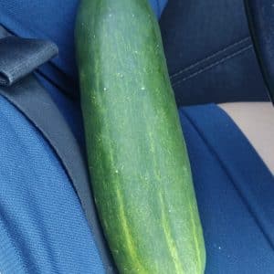 Je note Ta Courgette