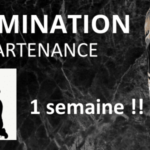 Tu m'appartiens 7 jours !