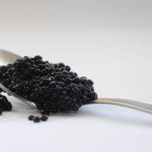 caviar et badigeonnage