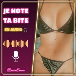 Je note ta bite en audio 🎧